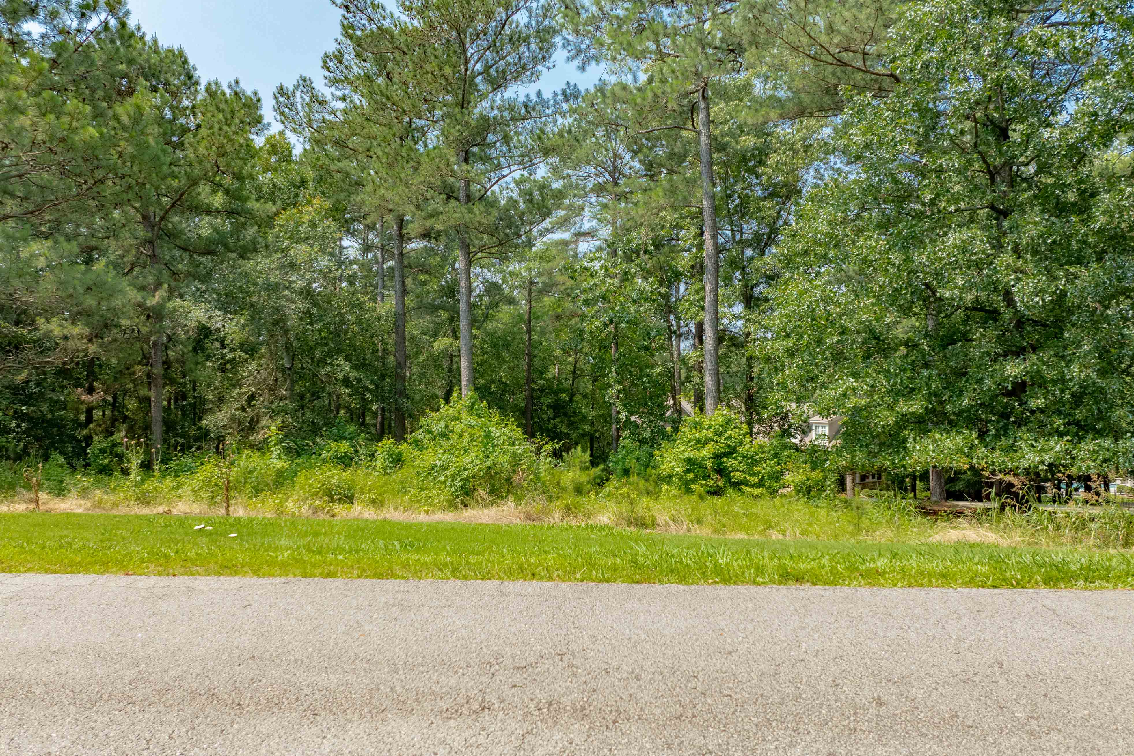 1141 Bachelor's Run image 1